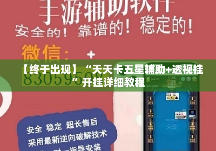 【终于出现】“天天卡五星辅助+透视挂”开挂详细教程