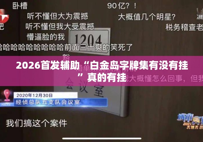 2026首发辅助“白金岛字牌集有没有挂”真的有挂