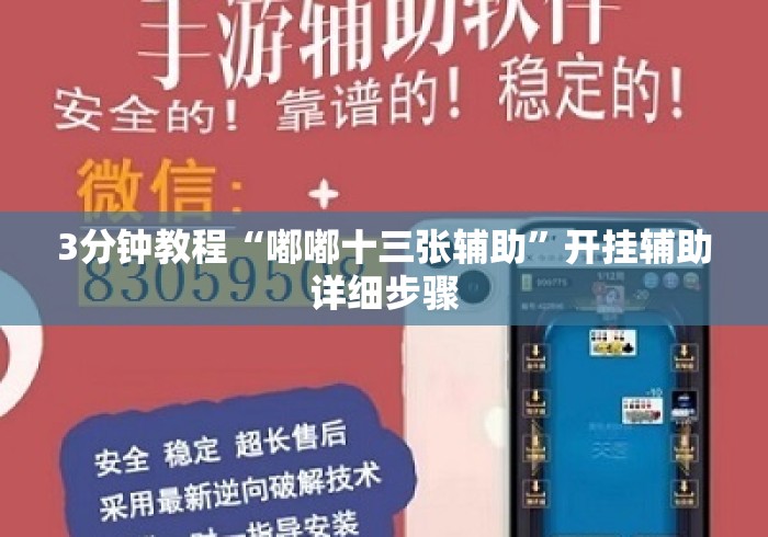3分钟教程“嘟嘟十三张辅助	”开挂辅助详细步骤