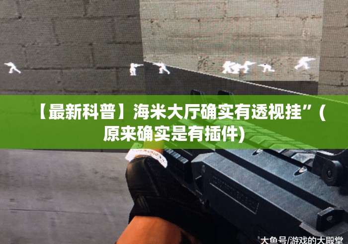 【最新科普】海米大厅确实有透视挂”(原来确实是有插件)