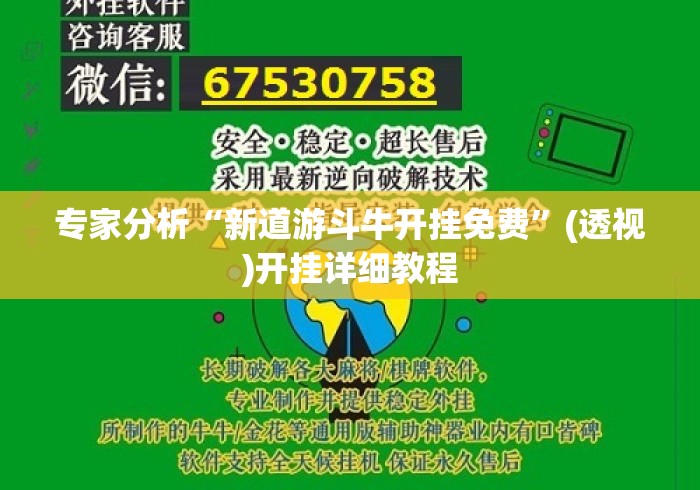 专家分析“新道游斗牛开挂免费”(透视)开挂详细教程