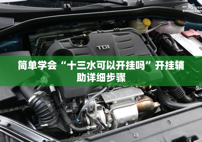 简单学会“十三水可以开挂吗”开挂辅助详细步骤
