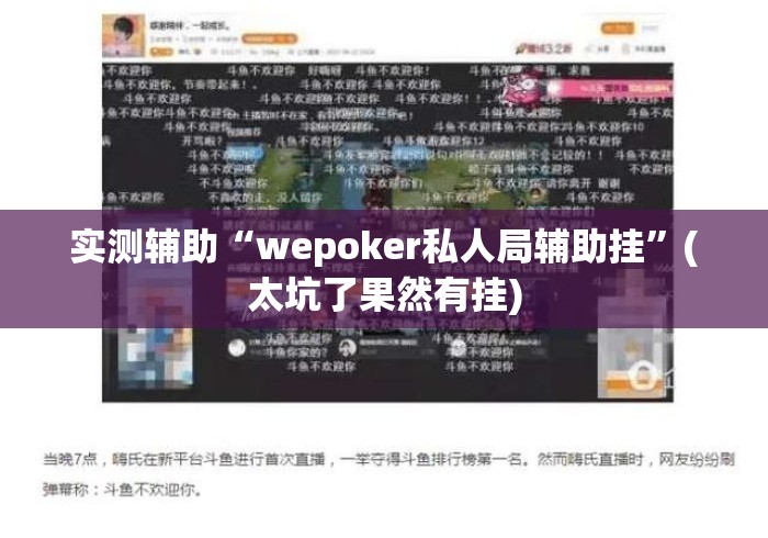 实测辅助“wepoker私人局辅助挂”(太坑了果然有挂)
