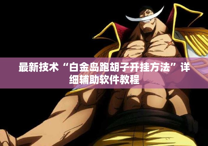 最新技术“白金岛跑胡子开挂方法”详细辅助软件教程