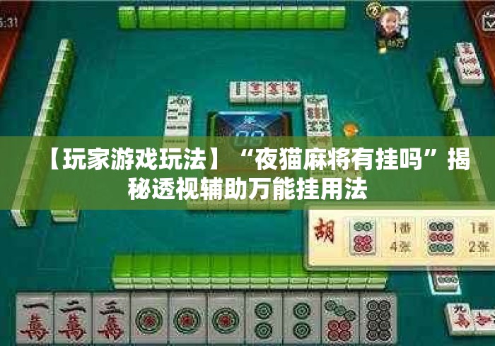 【玩家游戏玩法】“夜猫麻将有挂吗”揭秘透视辅助万能挂用法