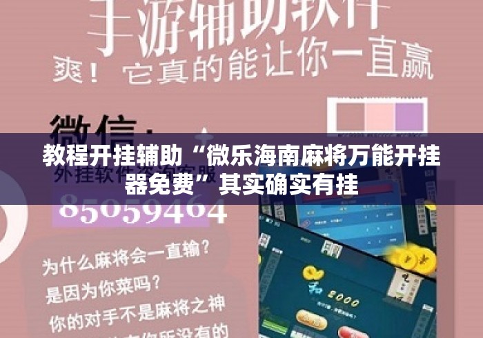 教程开挂辅助“微乐海南麻将万能开挂器免费”其实确实有挂