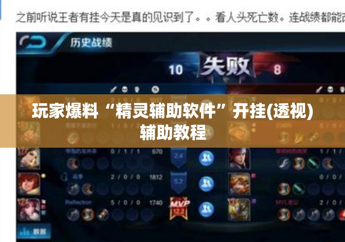 玩家爆料“精灵辅助软件”开挂(透视)辅助教程