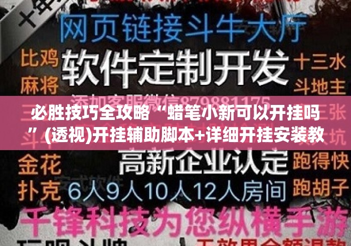 必胜技巧全攻略“蜡笔小新可以开挂吗	”(透视)开挂辅助脚本+详细开挂安装教程