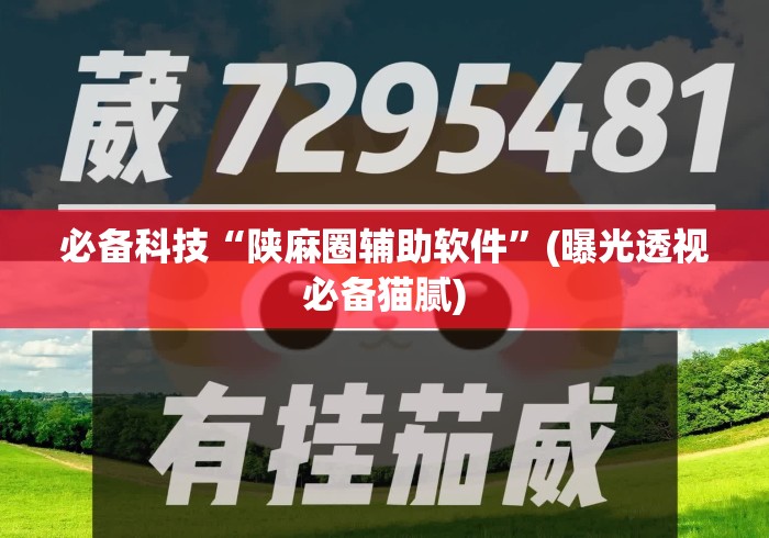 必备科技“陕麻圈辅助软件	”(曝光透视必备猫腻)