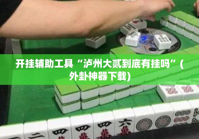 开挂辅助工具“泸州大贰到底有挂吗”(外卦神器下载)