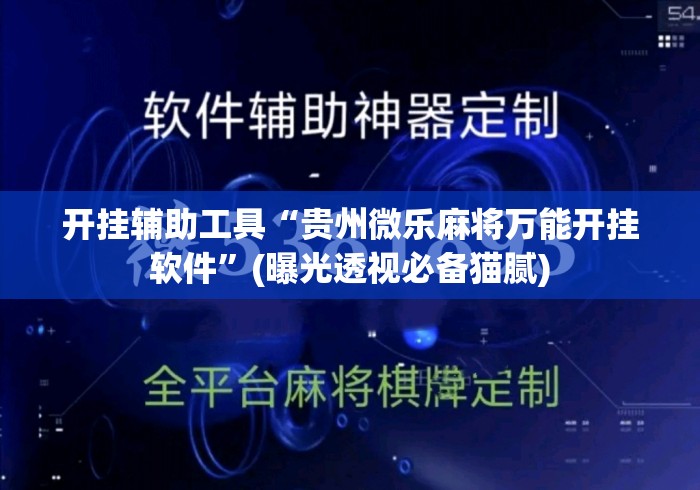 开挂辅助工具“贵州微乐麻将万能开挂软件”(曝光透视必备猫腻)