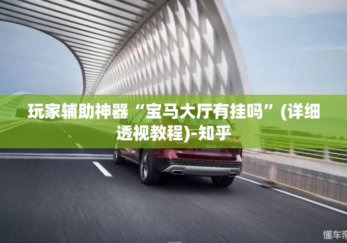 玩家辅助神器“宝马大厅有挂吗”(详细透视教程)-知乎