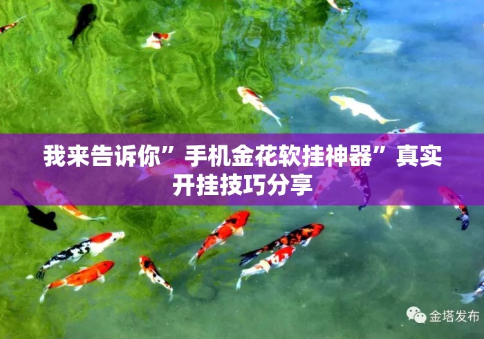 我来告诉你”手机金花软挂神器”真实开挂技巧分享