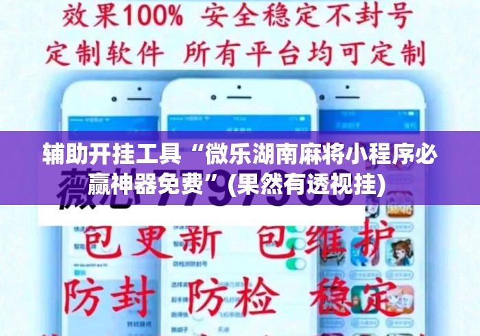 辅助开挂工具“微乐湖南麻将小程序必赢神器免费	”(果然有透视挂) 