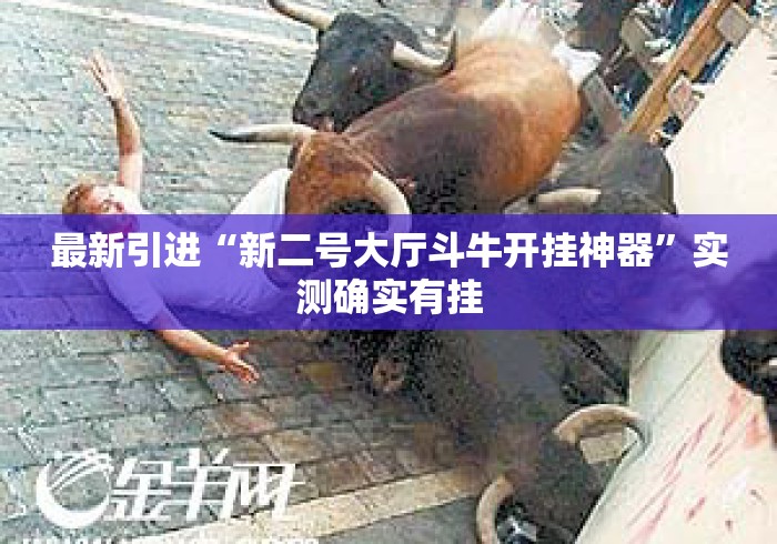 最新引进“新二号大厅斗牛开挂神器”实测确实有挂