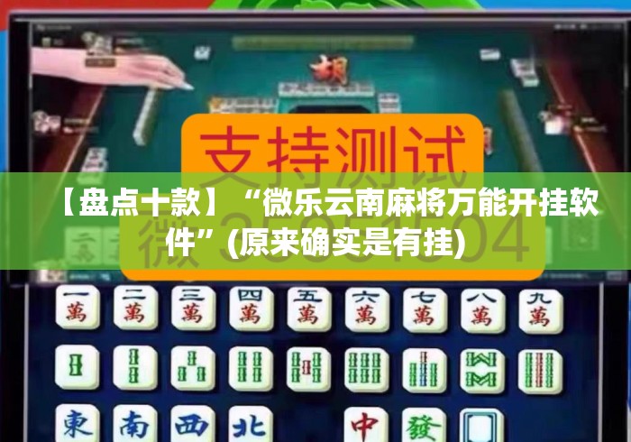 【盘点十款】“微乐云南麻将万能开挂软件”(原来确实是有挂)