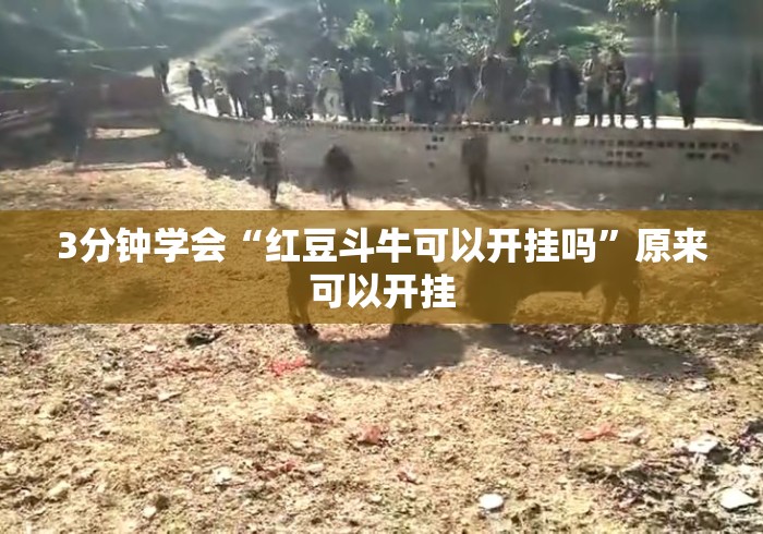 3分钟学会“红豆斗牛可以开挂吗”原来可以开挂