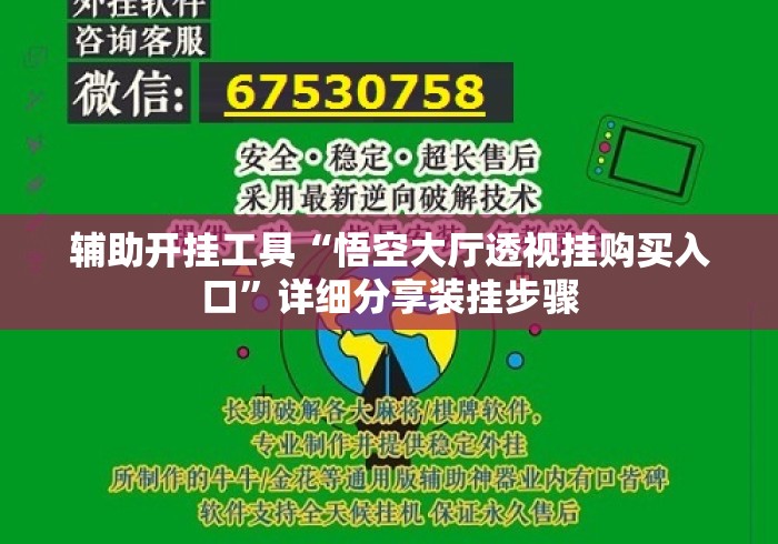 辅助开挂工具“悟空大厅透视挂购买入口	”详细分享装挂步骤