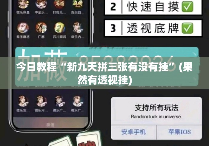 今日教程“新九天拼三张有没有挂	”(果然有透视挂)