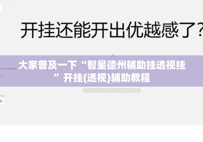 大家普及一下“智星德州辅助挂透视挂”开挂(透视)辅助教程