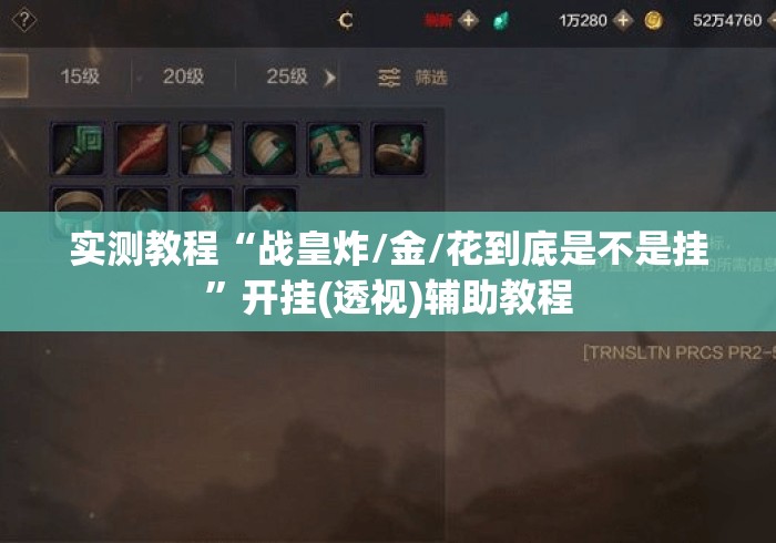 实测教程“战皇炸/金/花到底是不是挂	”开挂(透视)辅助教程