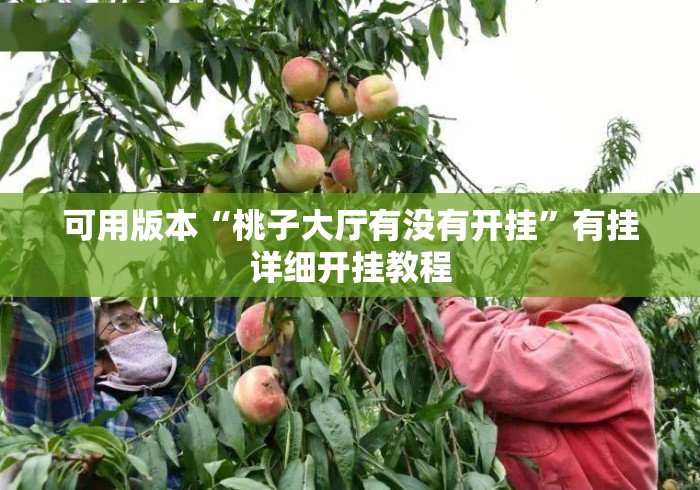 可用版本“桃子大厅有没有开挂”有挂详细开挂教程