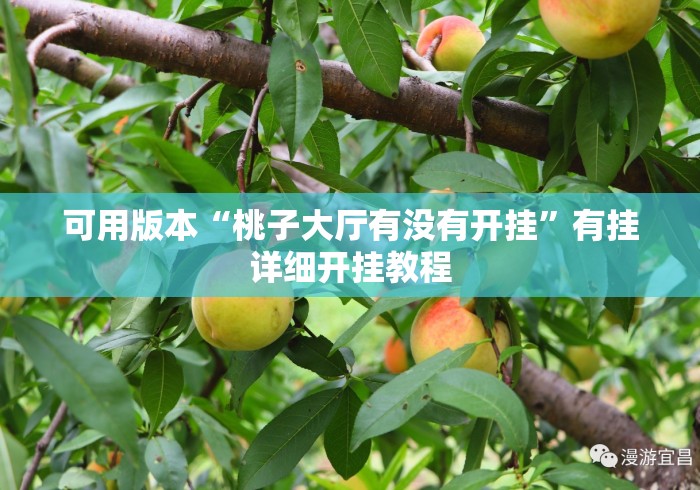 可用版本“桃子大厅有没有开挂	”有挂详细开挂教程