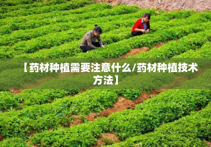 我来告诉你“微乐怎么让系统给你发好牌”2025开挂教程步骤