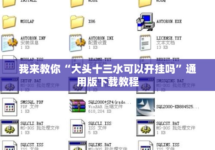 我来教你“大头十三水可以开挂吗”通用版下载教程