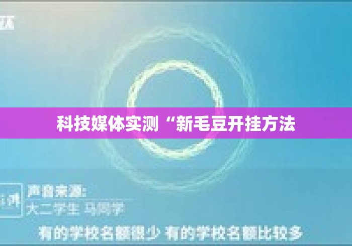 科技媒体实测“新毛豆开挂方法