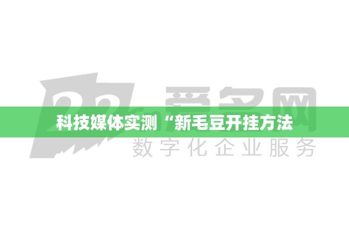 科技媒体实测“新毛豆开挂方法