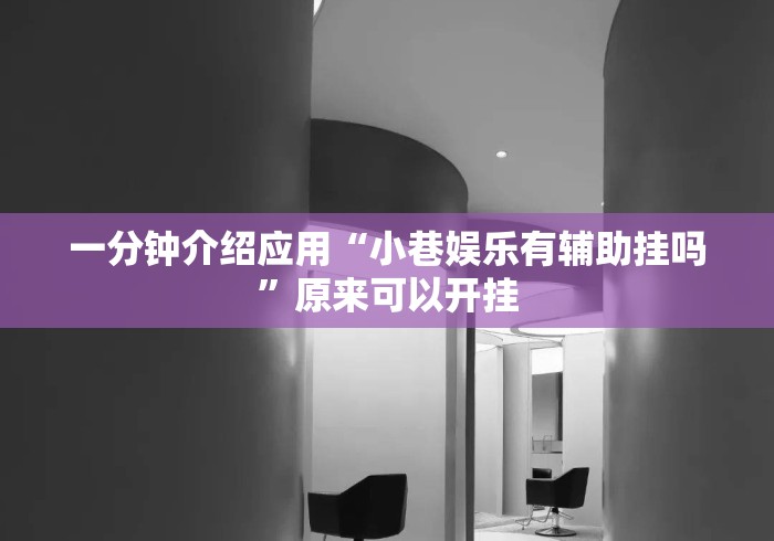 一分钟介绍应用“小巷娱乐有辅助挂吗	”原来可以开挂