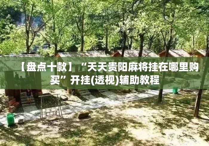 【盘点十款】“天天贵阳麻将挂在哪里购买”开挂(透视)辅助教程