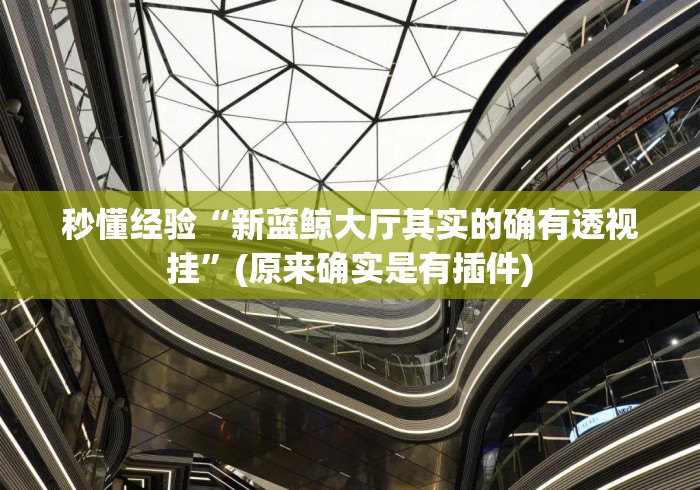 秒懂经验“新蓝鲸大厅其实的确有透视挂”(原来确实是有插件)