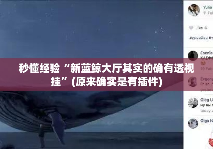 秒懂经验“新蓝鲸大厅其实的确有透视挂”(原来确实是有插件)