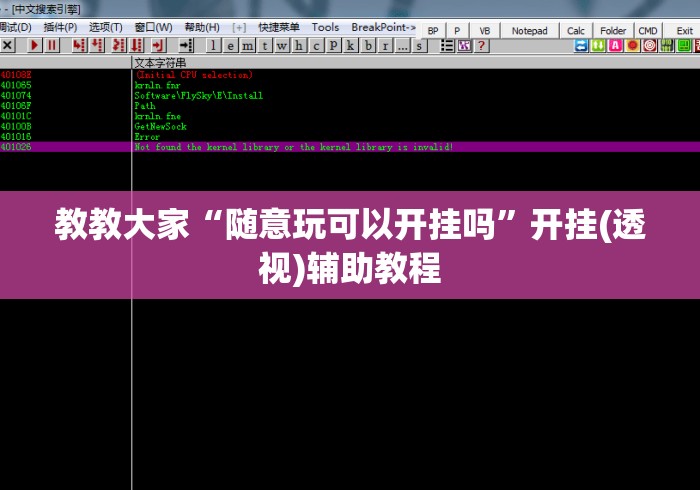 教教大家“随意玩可以开挂吗”开挂(透视)辅助教程
