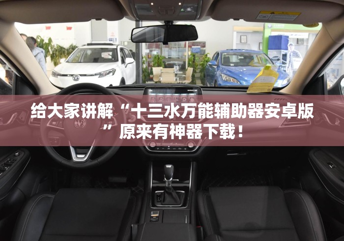 给大家讲解“十三水万能辅助器安卓版”原来有神器下载！