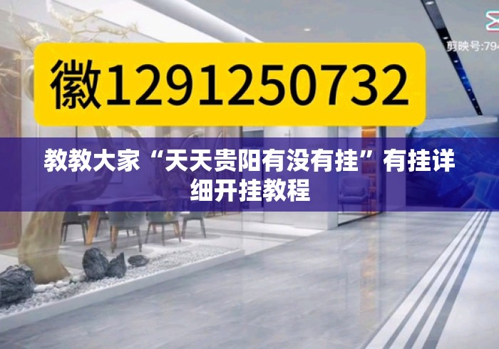 教教大家“天天贵阳有没有挂”有挂详细开挂教程
