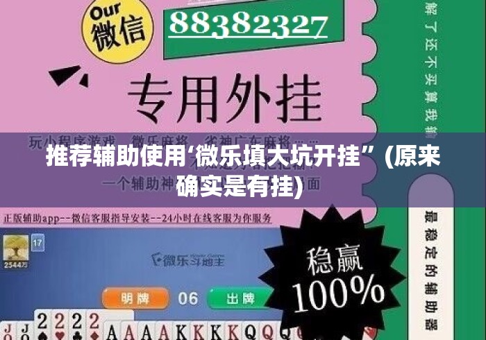 推荐辅助使用‘微乐填大坑开挂”(原来确实是有挂) 