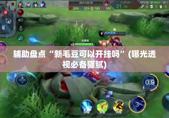 辅助盘点“新毛豆可以开挂吗”(曝光透视必备猫腻)