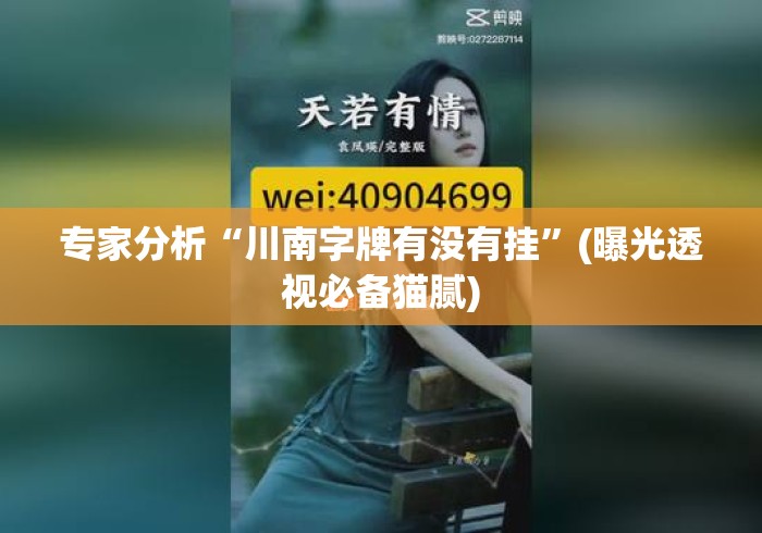 专家分析“川南字牌有没有挂”(曝光透视必备猫腻)