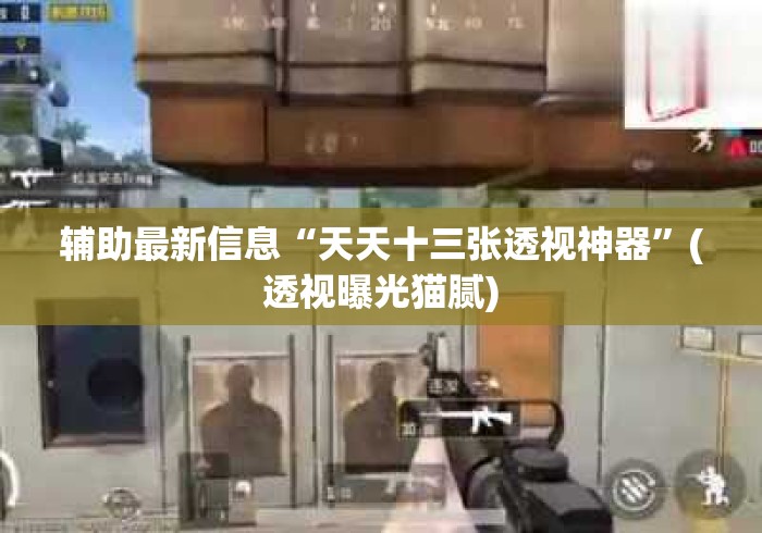 辅助最新信息“天天十三张透视神器”(透视曝光猫腻)