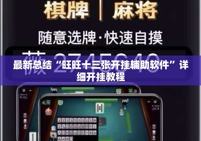 最新总结“旺旺十三张开挂辅助软件”详细开挂教程