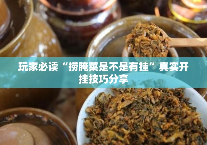 玩家必读“捞腌菜是不是有挂”真实开挂技巧分享