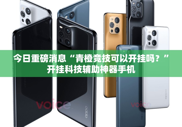 今日重磅消息“青橙竞技可以开挂吗？”开挂科技辅助神器手机
