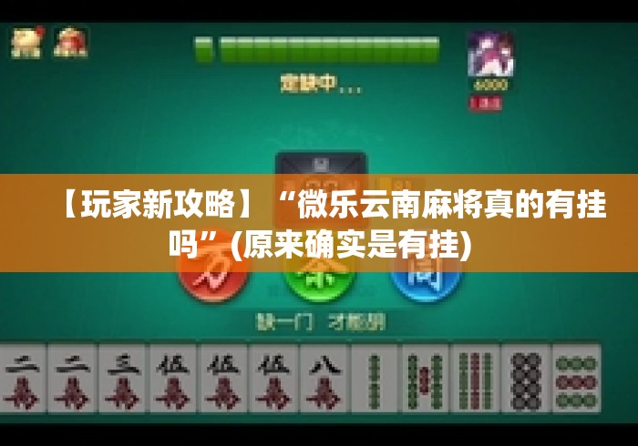 【玩家新攻略】“微乐云南麻将真的有挂吗”(原来确实是有挂)