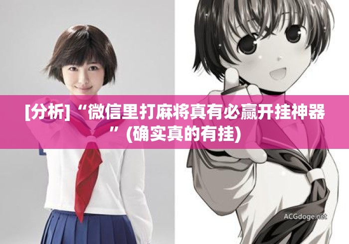 [分析]“微信里打麻将真有必赢开挂神器”(确实真的有挂)