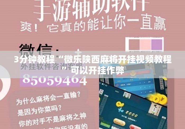 3分钟教程“微乐陕西麻将开挂视频教程”可以开挂作弊