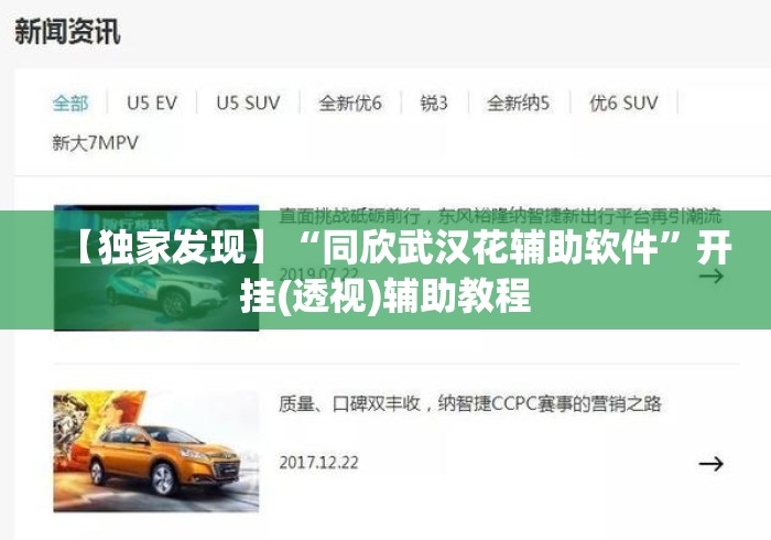 【独家发现】“同欣武汉花辅助软件”开挂(透视)辅助教程