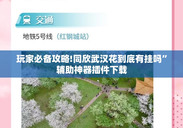 玩家必备攻略!同欣武汉花到底有挂吗	”辅助神器插件下载